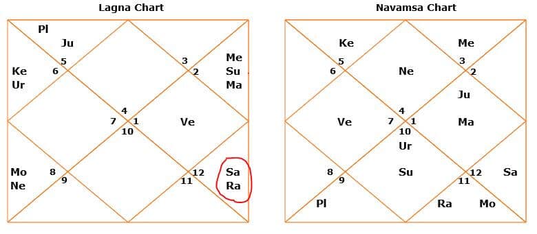 How To Read Navamsa Chart With Examples